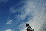 IMG_2345