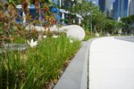 DSC00432