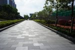 DSC00484