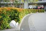 DSC00526
