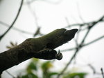 DSCN2937