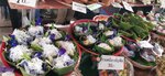 IMG_20231021_104047