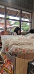 IMG_20231021_112043