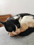 IMG_20231022_084327