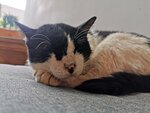 IMG_20231022_084333