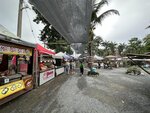 IMG_0921