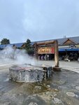 IMG_1126