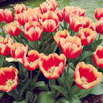 WuTa_2019-02-28_09-48-33