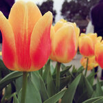 WuTa_2019-02-28_09-49-12