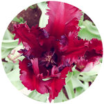 WuTa_2019-02-28_09-51-50