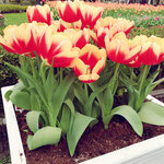 WuTa_2019-02-28_09-53-58