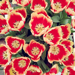 WuTa_2019-02-28_09-54-28