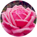 WuTa_2019-02-28_10-38-42