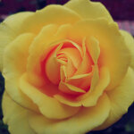 WuTa_2019-02-28_10-49-11