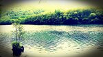 P_20180615_122117_EFF