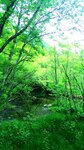 P_20180615_123856_EFF