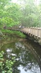 P_20180615_124027_vHDR_On