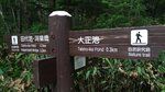 P_20180615_124142_vHDR_On
