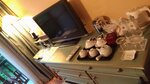 P_20180615_182644_vHDR_On