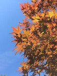 IMG-20180617-WA0043