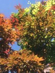 IMG-20180617-WA0048