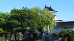 P_20180617_072056_vHDR_On