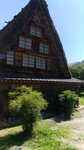 P_20180617_091623_vHDR_On