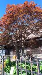 P_20180617_092845_vHDR_On