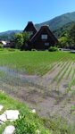 P_20180617_100050_vHDR_On