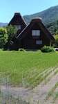 P_20180617_100056_vHDR_On