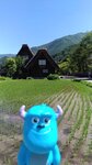 P_20180617_100228_vHDR_On