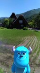 P_20180617_100249_vHDR_On
