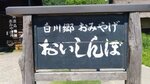 P_20180617_102933_vHDR_On