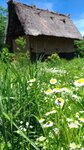 P_20180617_103040_vHDR_On