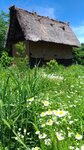 P_20180617_103101_vHDR_On
