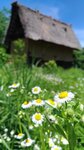 P_20180617_103119_vHDR_On