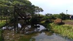 P_20180617_151051_vHDR_On