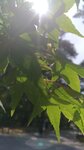 P_20180617_151257_vHDR_On