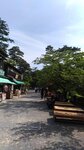 P_20180617_153409_vHDR_On