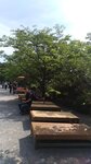 P_20180617_153415_vHDR_On