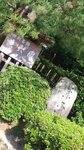 P_20180617_154921_vHDR_On