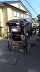 P_20180617_165529_vHDR_On