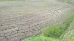 P_20180618_075459_vHDR_On