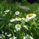 IMG_20180617_180115_064