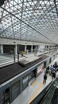IMG_5316