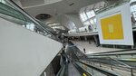 IMG_5320