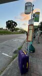 IMG_3320