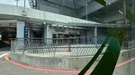 IMG_3449