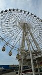 IMG_3569