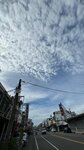 IMG_9504